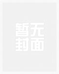 天龙人烙印小说
